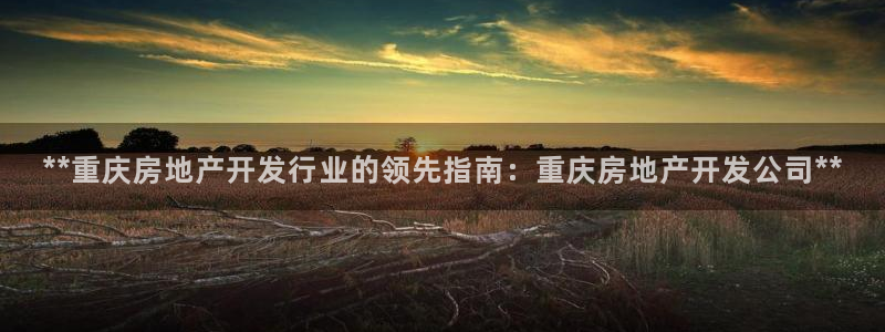 万向娱乐总代