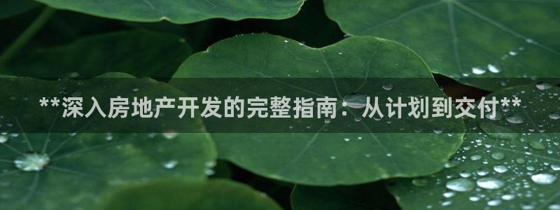 万向娱乐平台代理多少钱一年