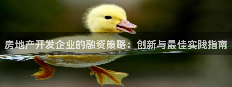万向娱乐登陆官网