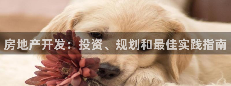 万向娱乐公司官网电话