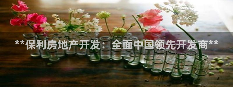 万向娱乐平台代理多少钱一年