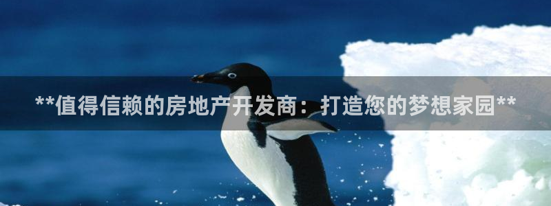 万向娱乐官网网址是什么