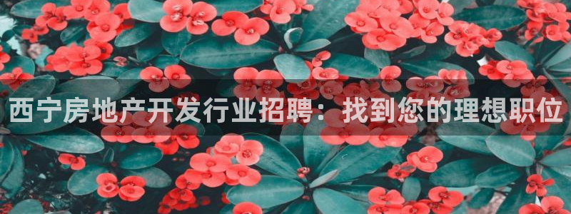 万向娱乐的联系方式