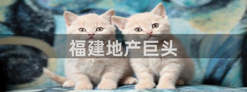 万向娱乐app下载