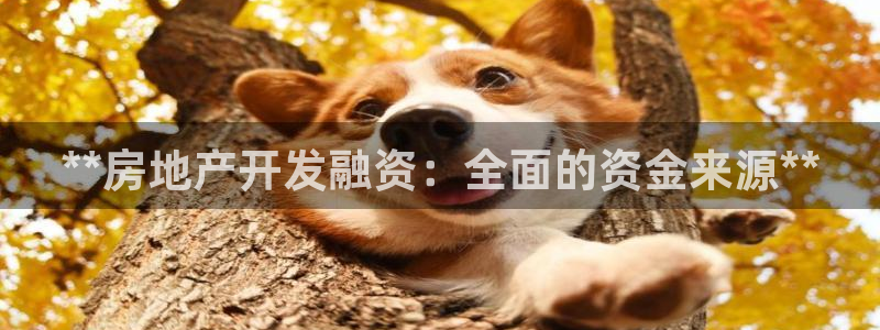 万向娱乐首页