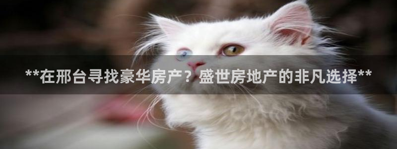 万向娱乐是野鸡台吗