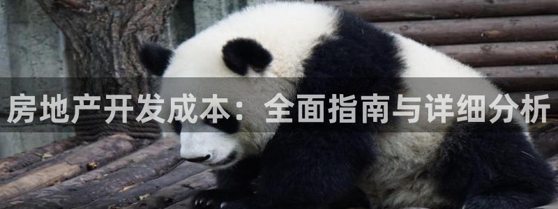 万向娱乐网址是什么