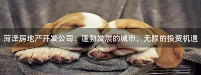 万向娱乐首页