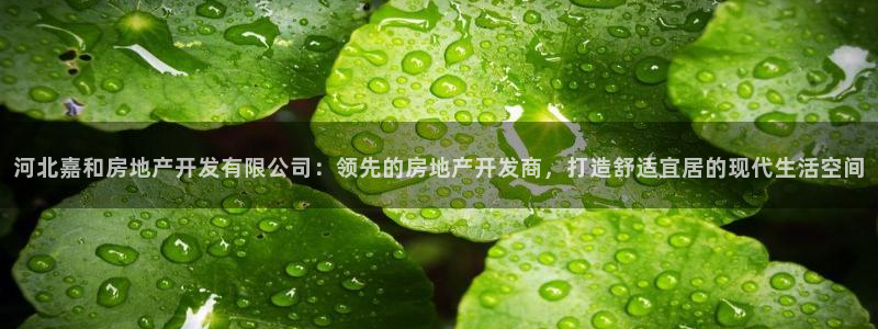 万向娱乐登陆官网入口