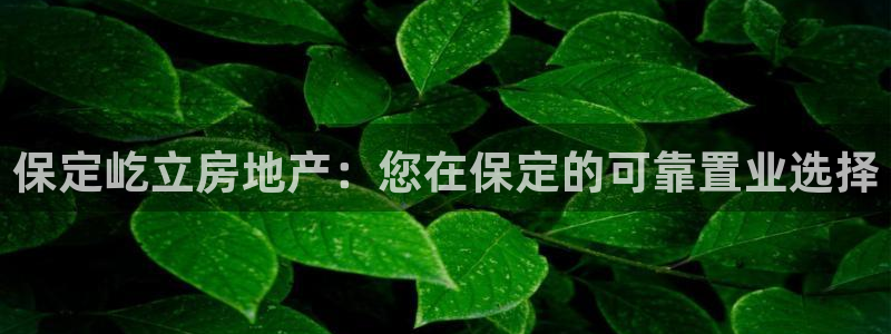 万向娱乐公司 585.34I 娱乐