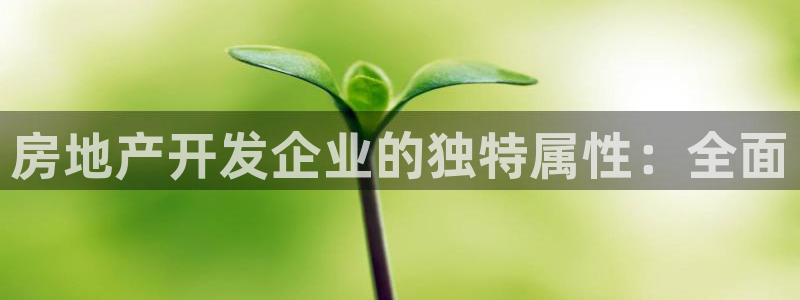 万向娱乐官网网址是什么