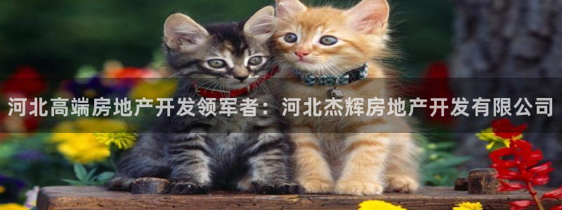 万向娱乐登陆官网入口
