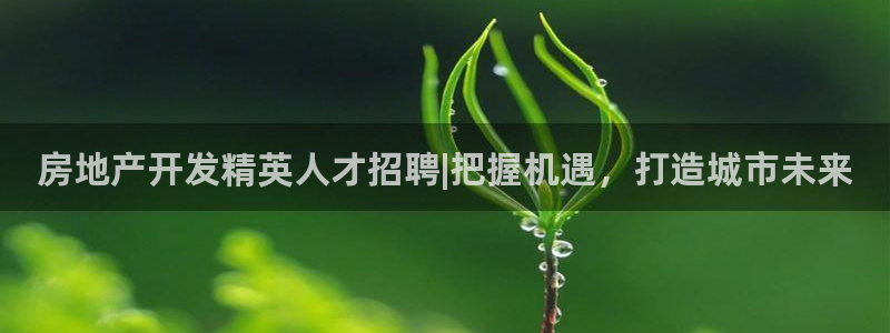 万向娱乐平台怎么下载