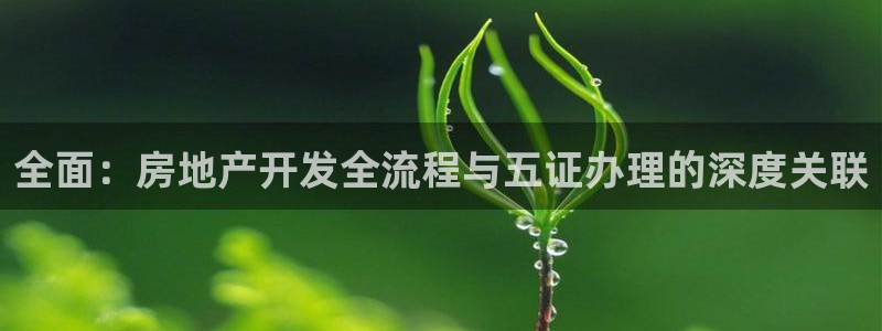万向娱乐平台代理多少钱