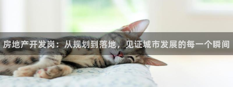 万向娱乐平台代理多少钱