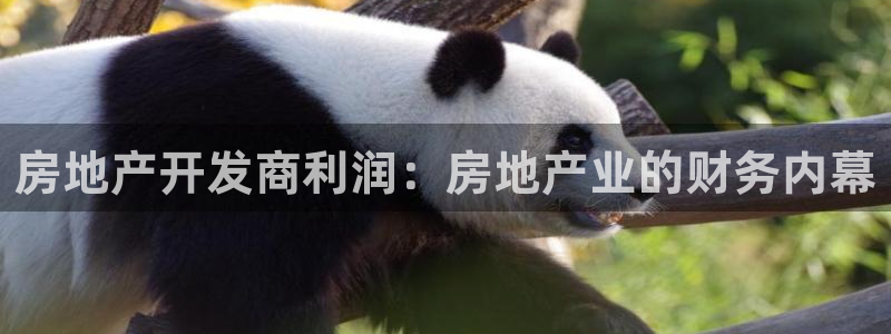 万向娱乐平台提现多久到账