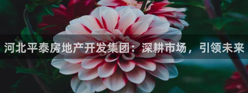 万向娱乐登陆官网