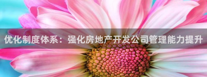 万向娱乐挂机