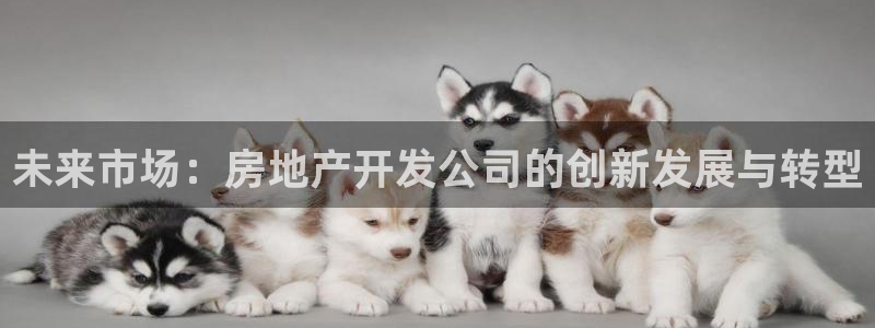 万向娱乐平台代理多少钱