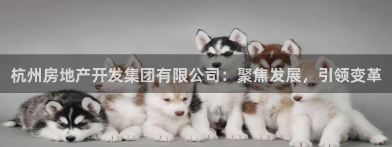 万向娱乐注册登录开户怎么弄