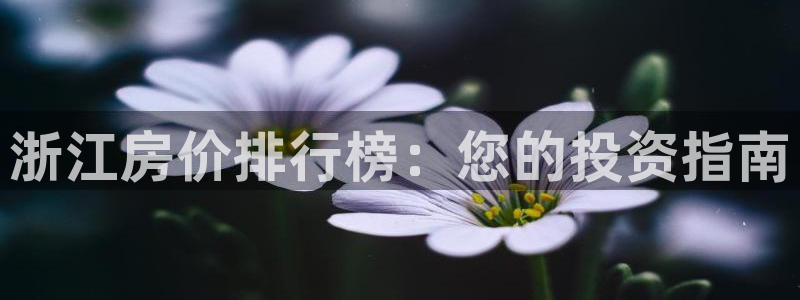 万向娱乐平台代理
