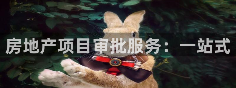 万向娱乐注册主管