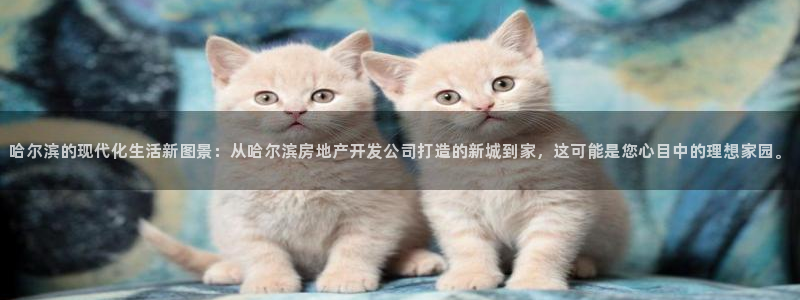 万向娱乐平台代理怎么样啊