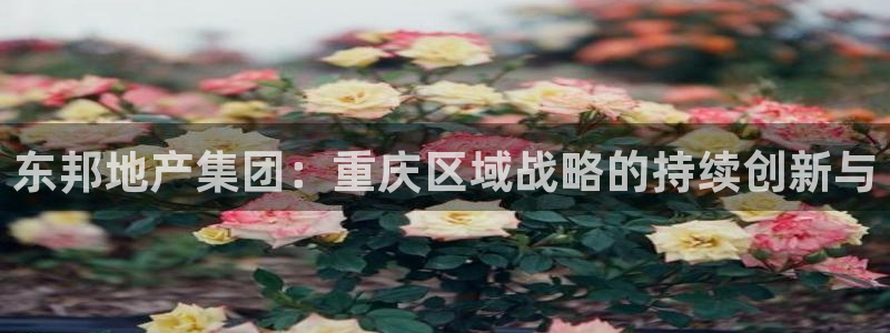 万向娱乐平台代理多少钱一个
