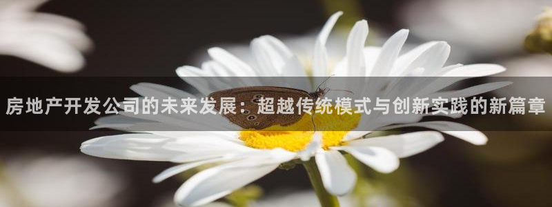 万向娱乐登陆