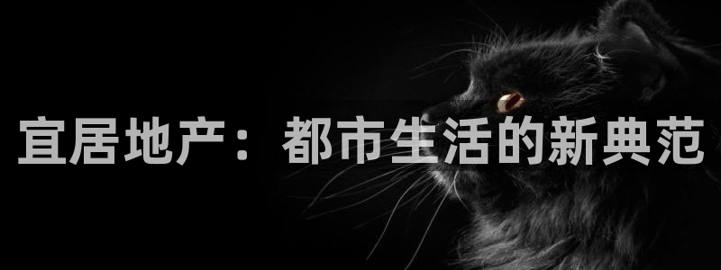 万向娱乐网址是什么
