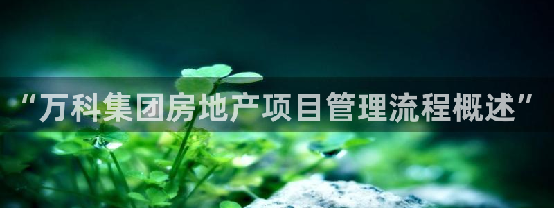 万向娱乐app下载官网