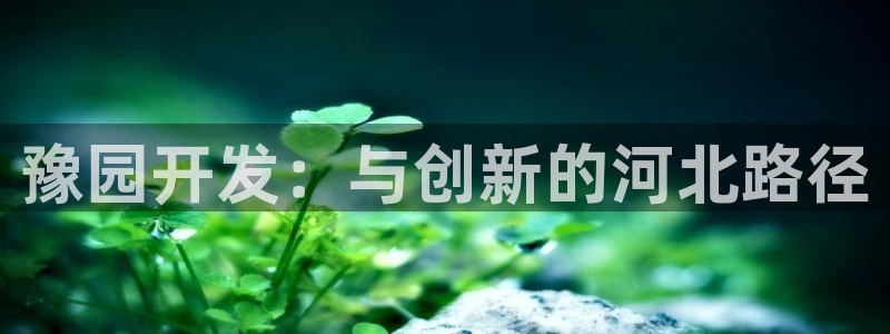 万向娱乐平台注册地址是哪里