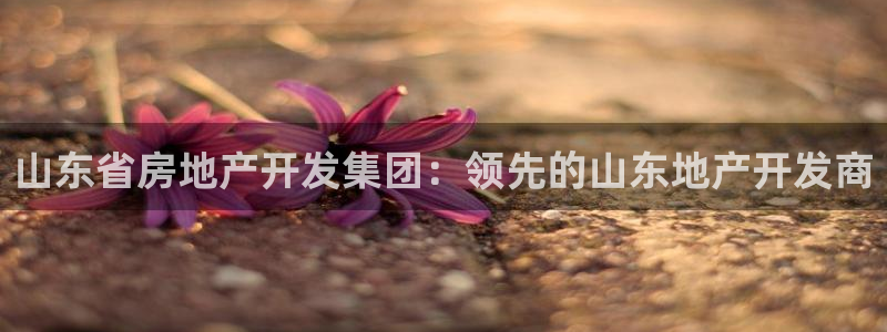 万向娱乐平台注册流程