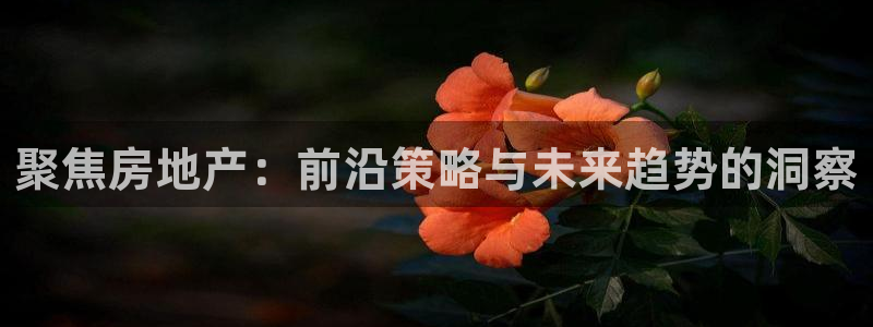 万向娱乐平台怎么下载