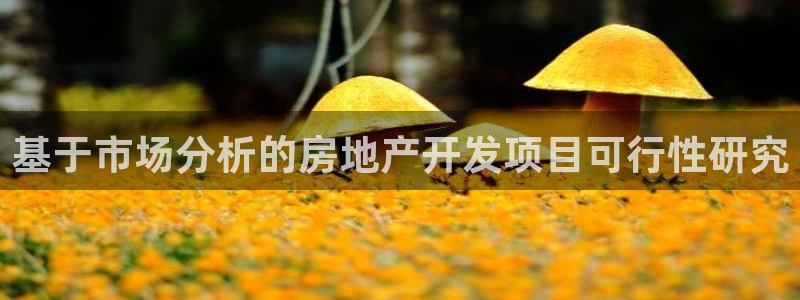 万向娱乐注册登录不上去