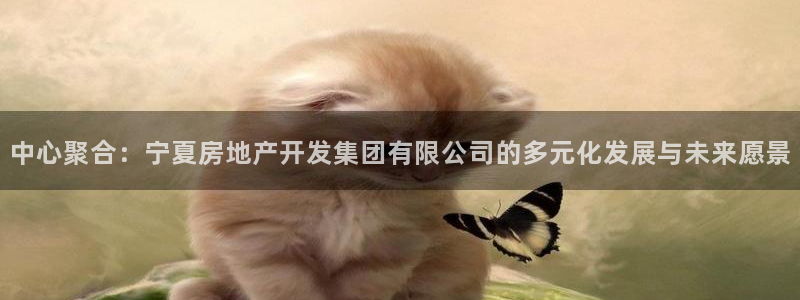 万向娱乐平台代理多少钱