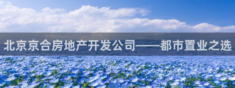 万向娱乐平台代理怎么做的