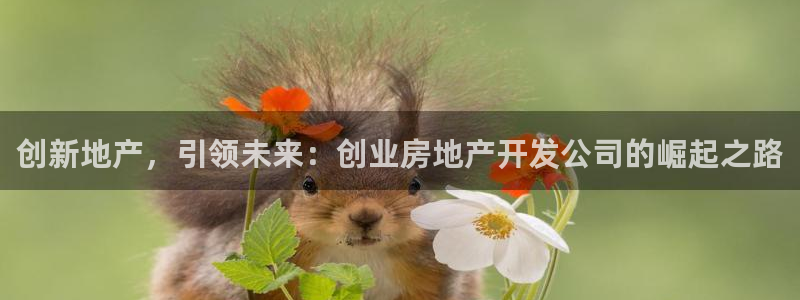 万向娱乐的联系方式