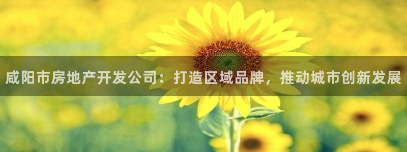 万向娱乐官网网址是多少