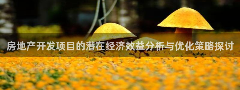 万向娱乐平台代理怎么做赚钱