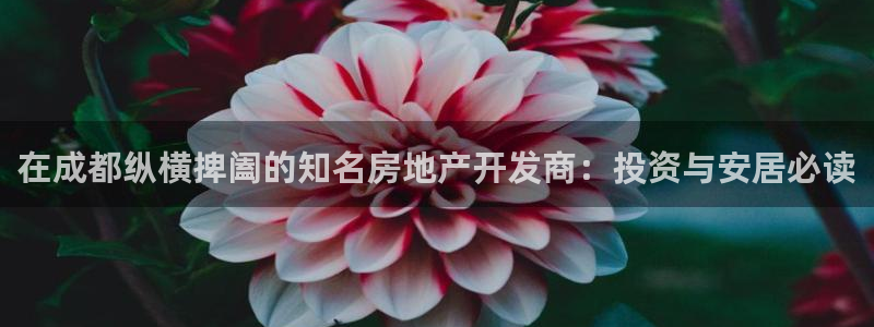 万向娱乐官网