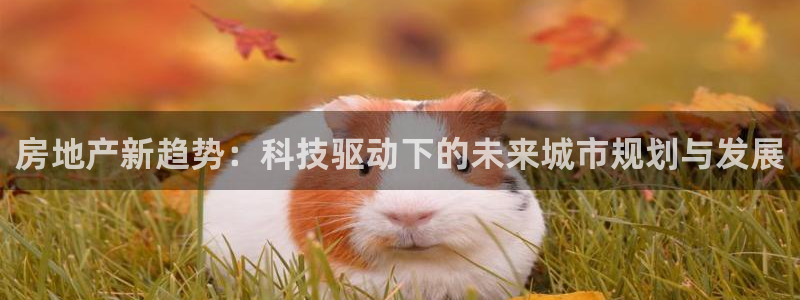 万向娱乐的494o3 主管