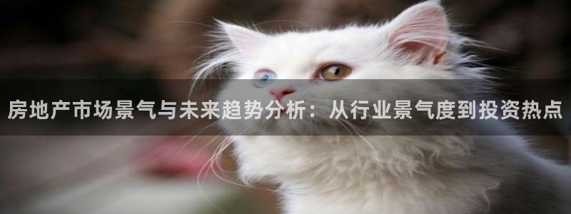 万向娱乐app