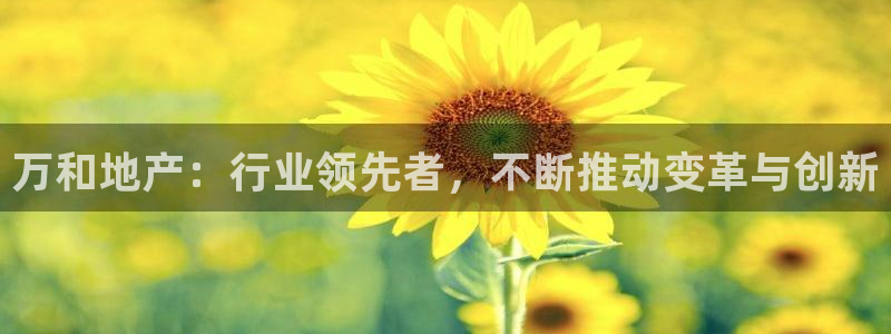 万向娱乐平台注册条件有哪些