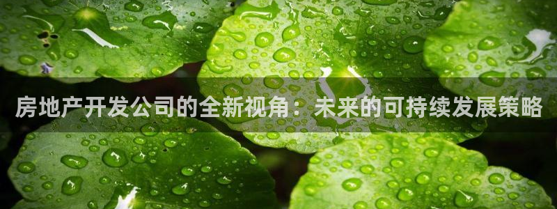 万向娱乐平台下载安装手机版