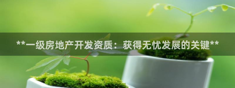 万向娱乐是野鸡台吗
