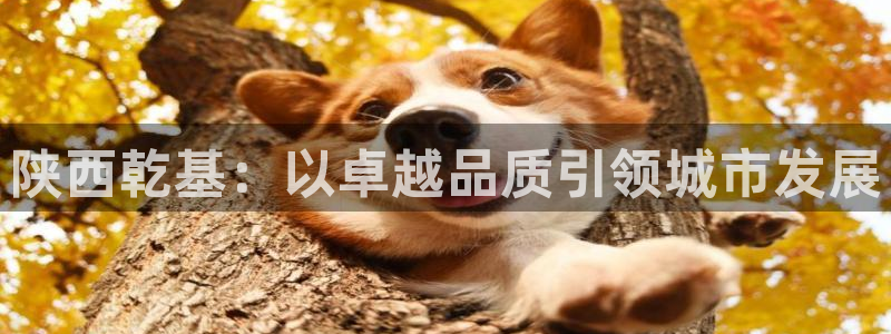 万向娱乐技术分享