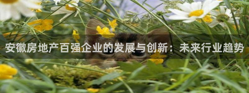 万向娱乐官网网址大全