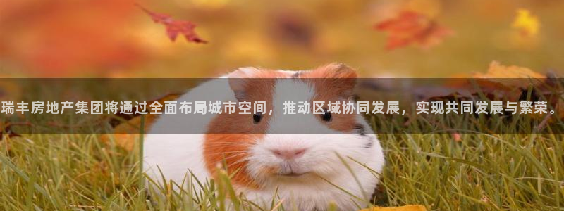 万向娱乐的注册登录是什么