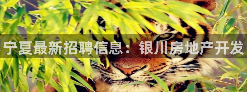 万向娱乐平台注册条件要求